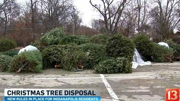 dpw restores christmas tree collection at eight dpw restores christmas tree collection at eight